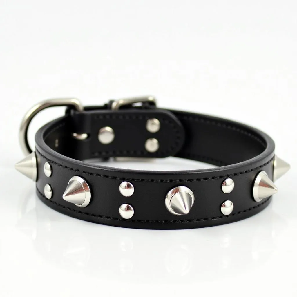 Stylish Black Studded Dog Collar for Your Dog