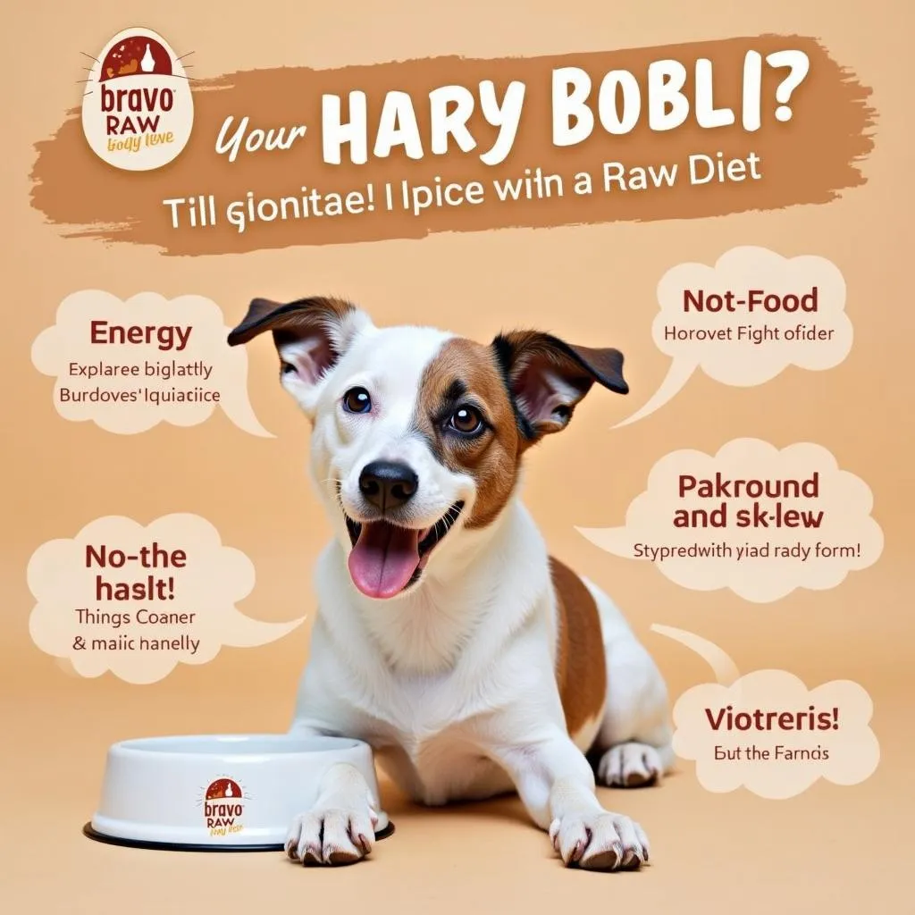 Benefits of Feeding Bravo Raw Dog Food to Your Dog