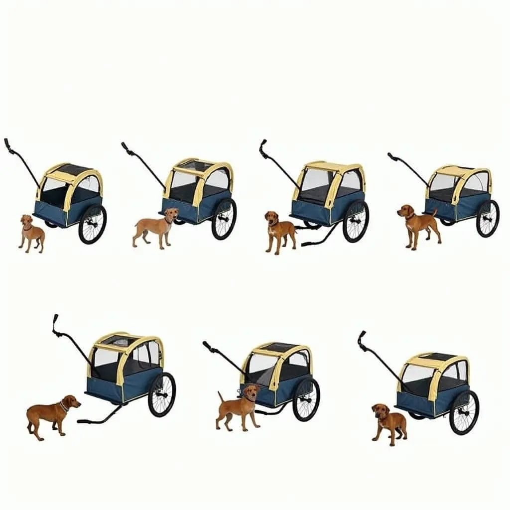 Dog Cart Sizes and Weights for Different Dog Breeds