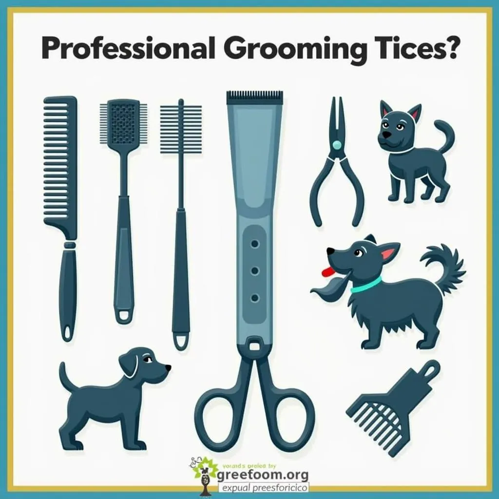 Variety of dog grooming tools