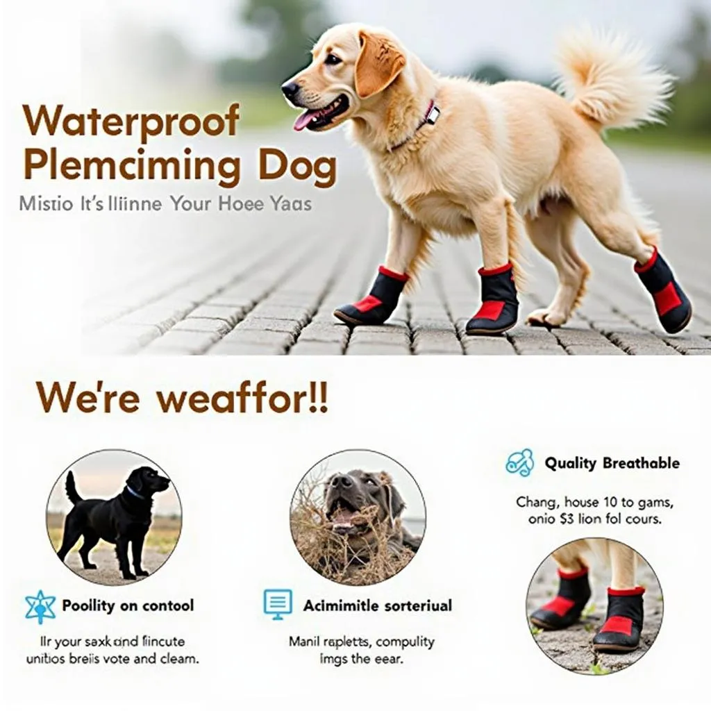 Protective boots for dogs with sensitive hooves