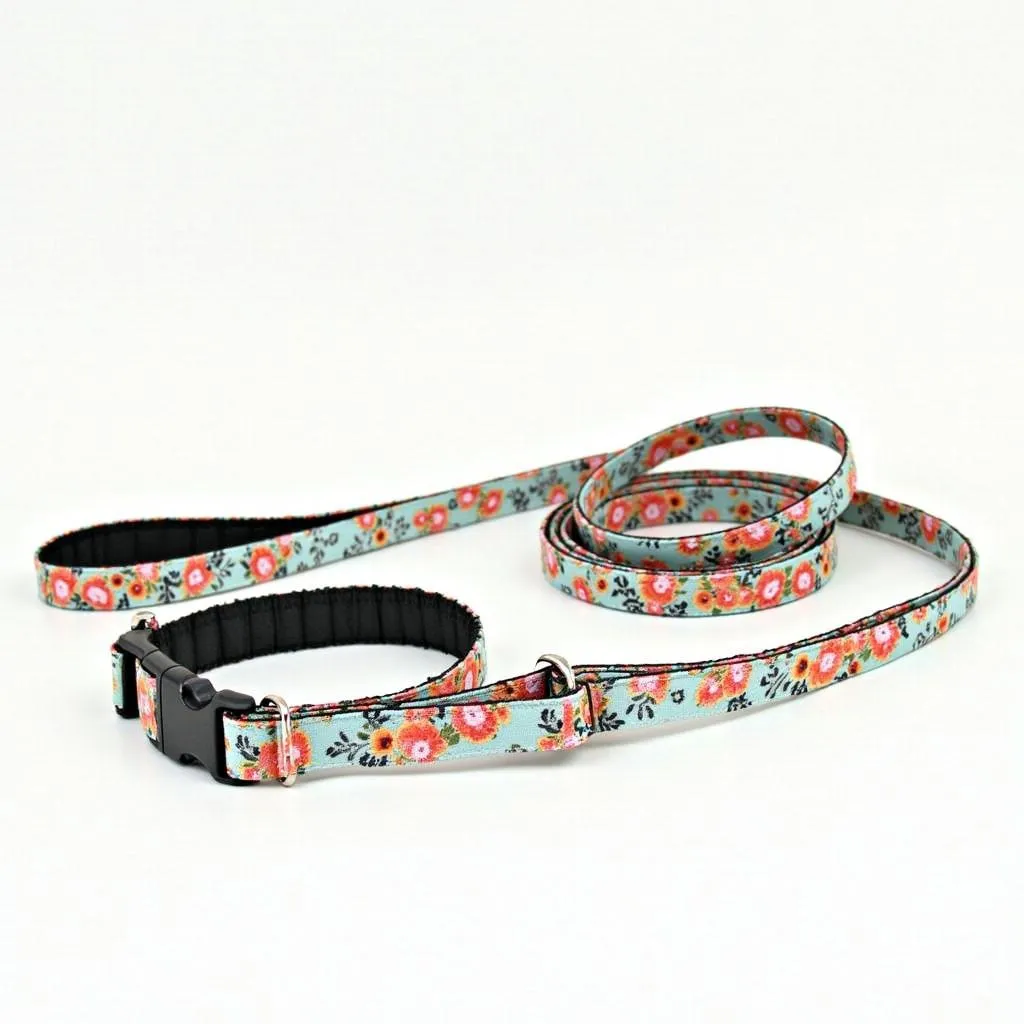 Customized Dog Leash and Collar Set