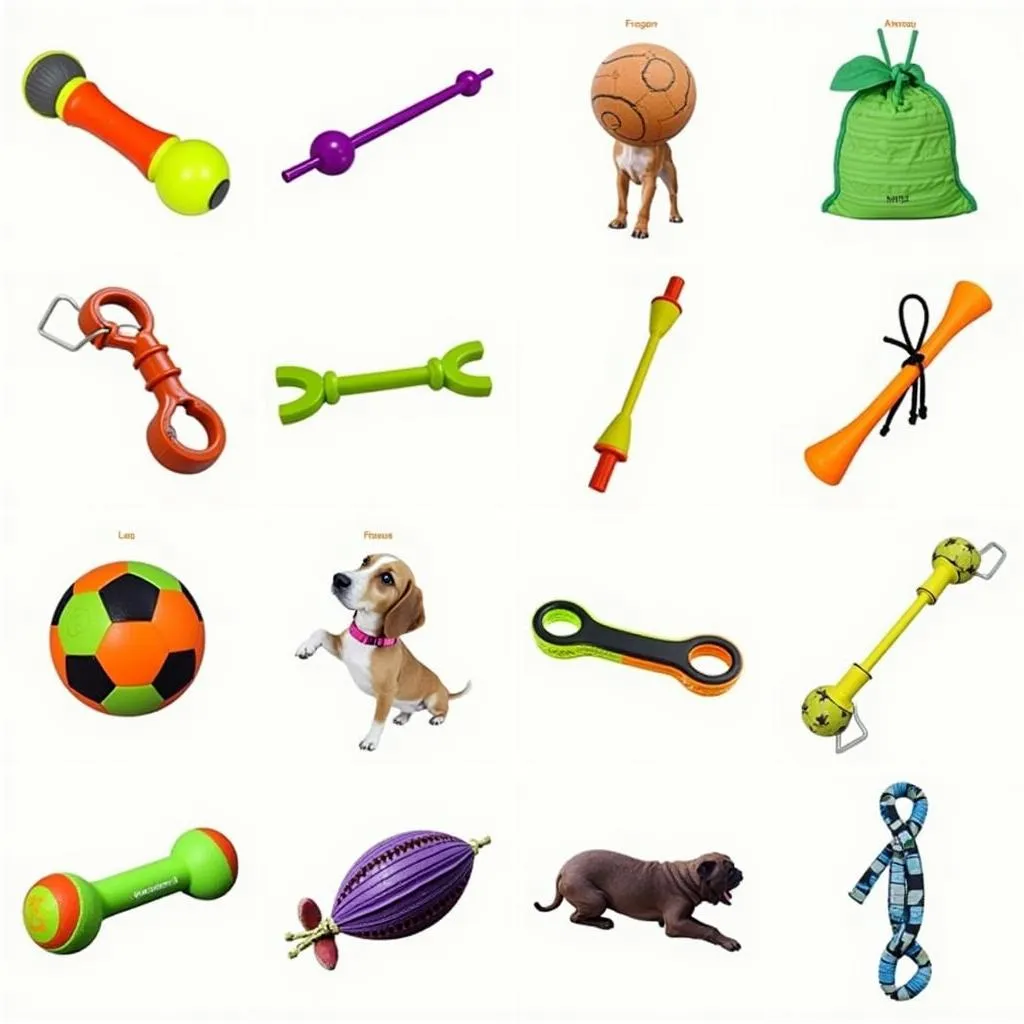 Dog park accessories for playing and socializing