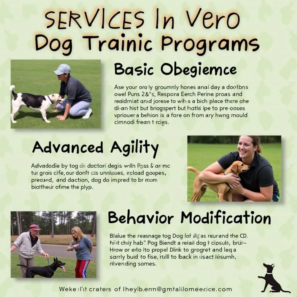 Dog Training Services in Vero Beach FL