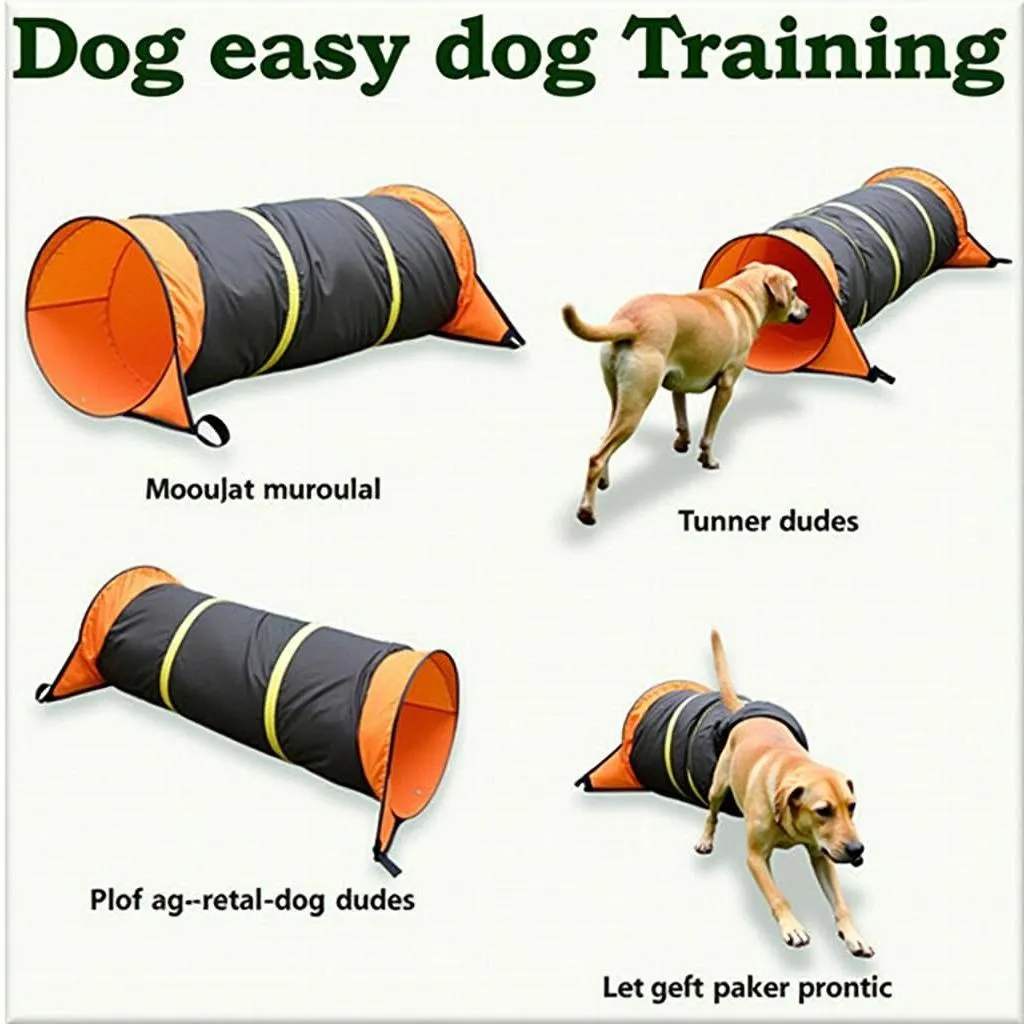 Dog tunnel used for agility training