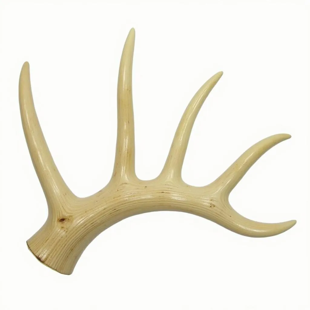 Elk Antler Dog Chew Toy