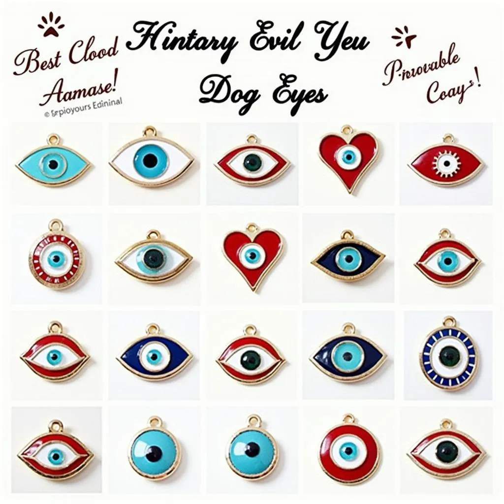 Evil Eye Dog Tag Designs for Every Style