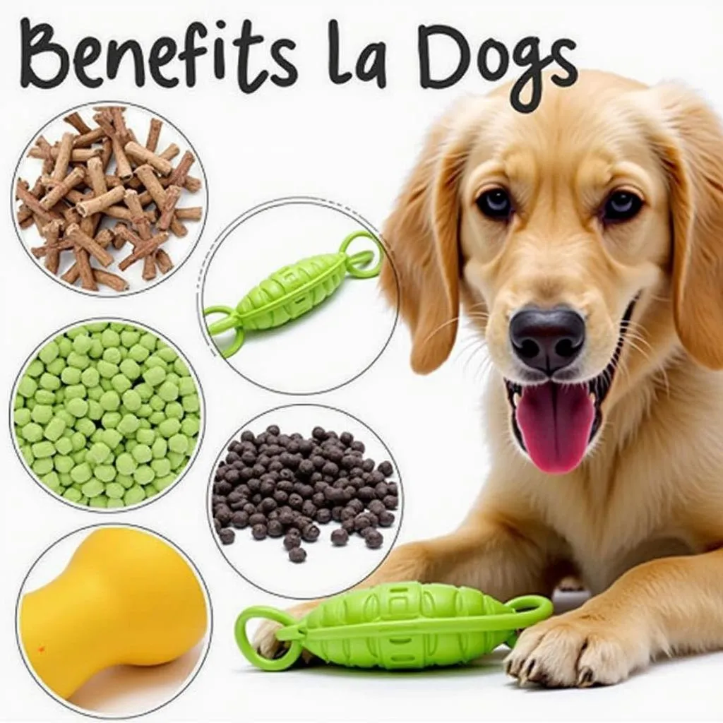 La Croix Dog Toy Types and Benefits