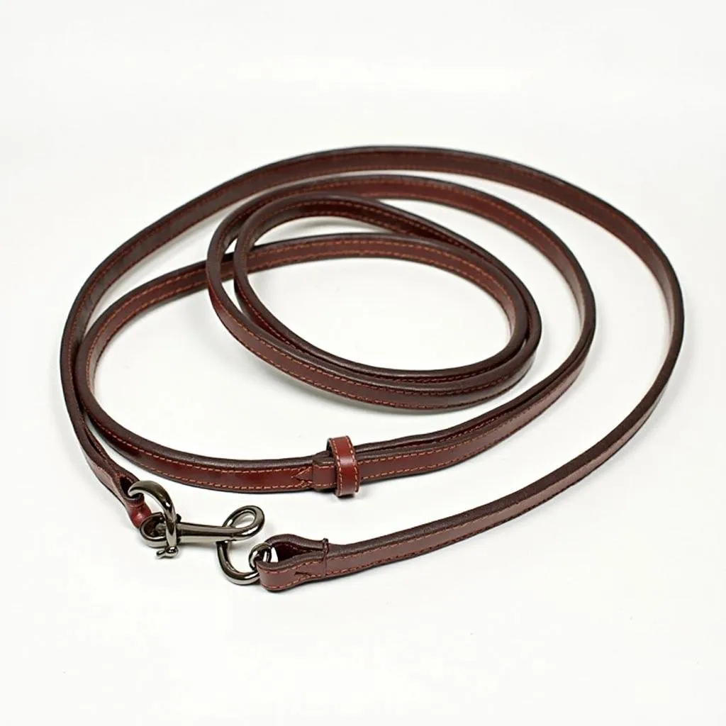 A close-up shot of a black leather dog leash with brown stitching and a metal clip.