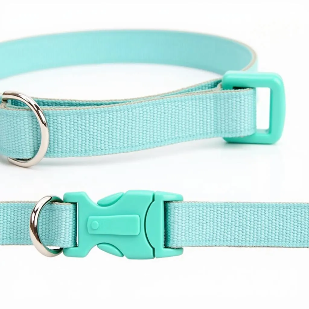 Turquoise Blue Dog Collar with Adjustable Buckle 