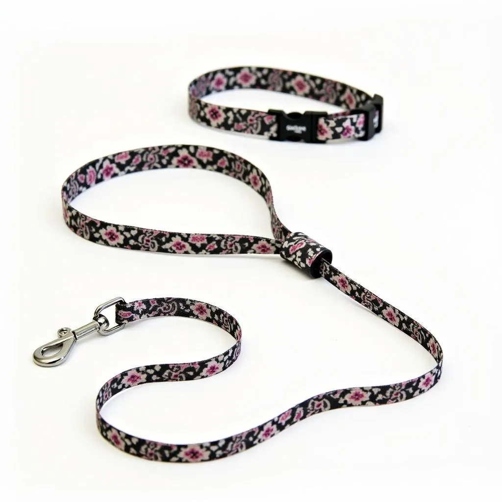 A fashionable dog collar and leash set featuring a stylish design