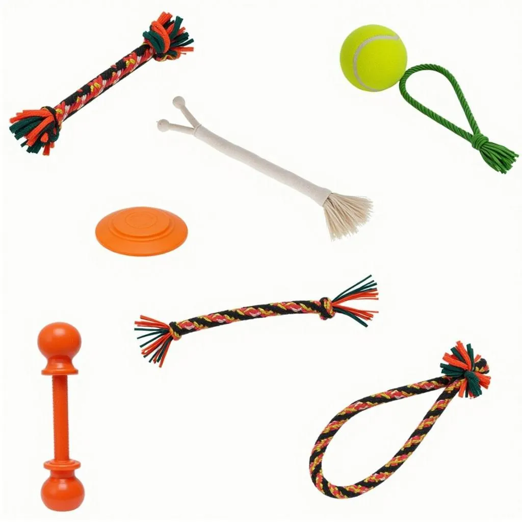 A variety of American classic dog toys for dogs of all ages and sizes