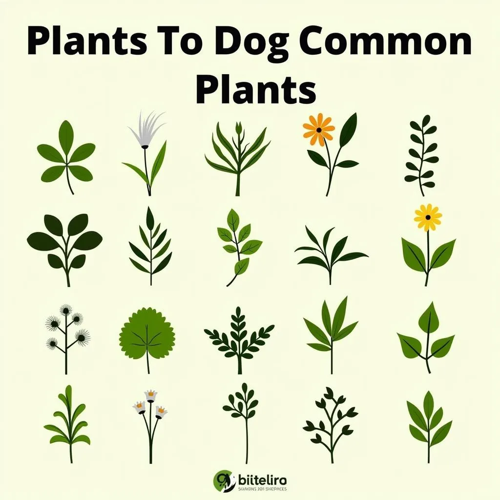 Common Toxic Plants for Dogs