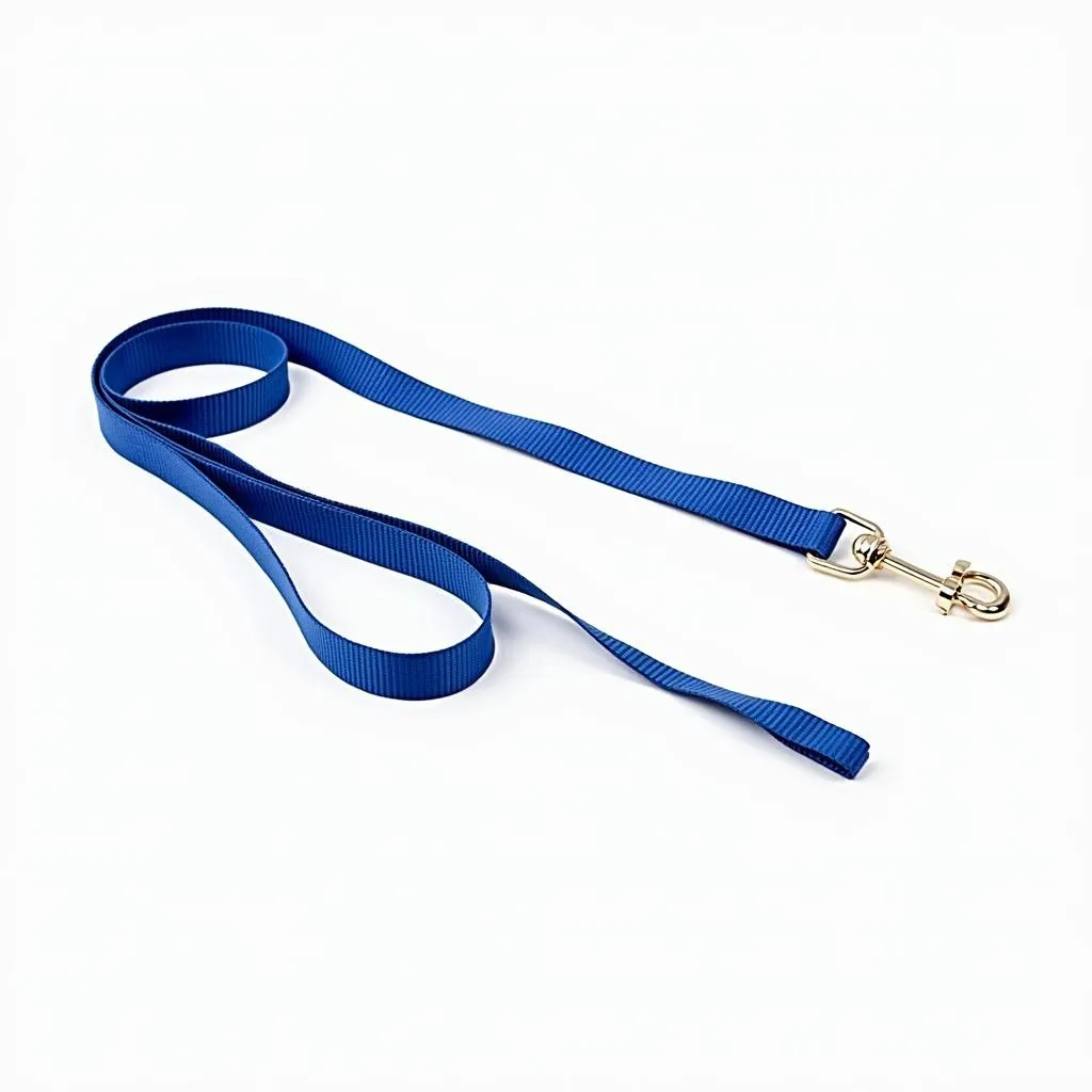 Blue nylon dog leash