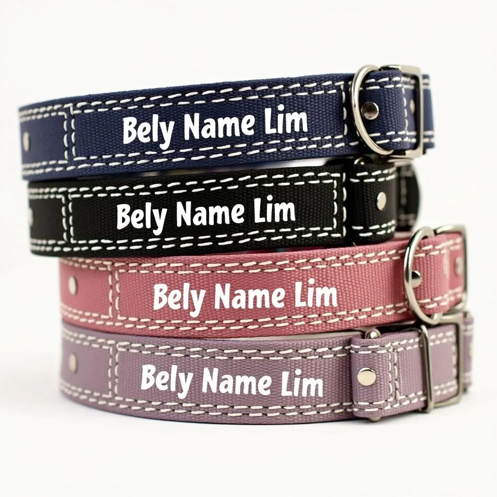 Personalized Dog Collar with Engraved Name and Contact Info