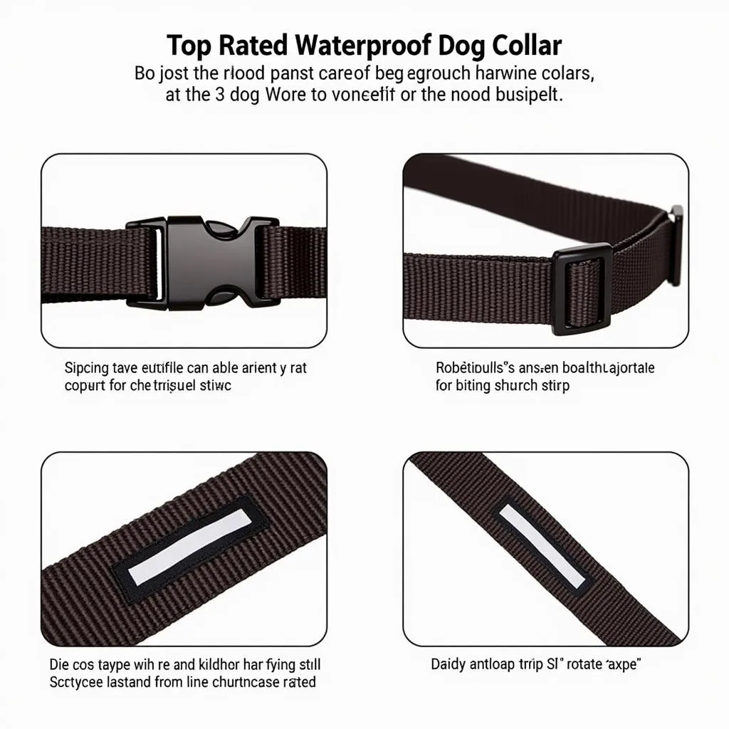 Best Waterproof Dog Collar for Muddy Dogs