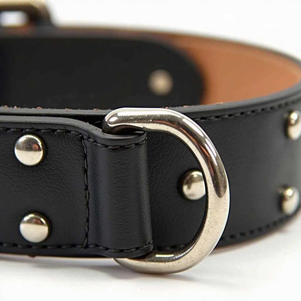 A black studded dog collar