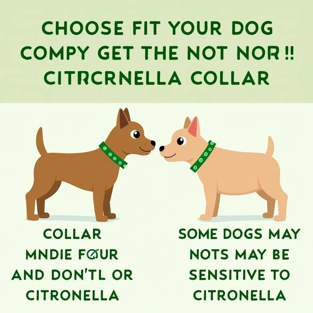 Citronella Dog Collar For Small Dogs: Sensitivity