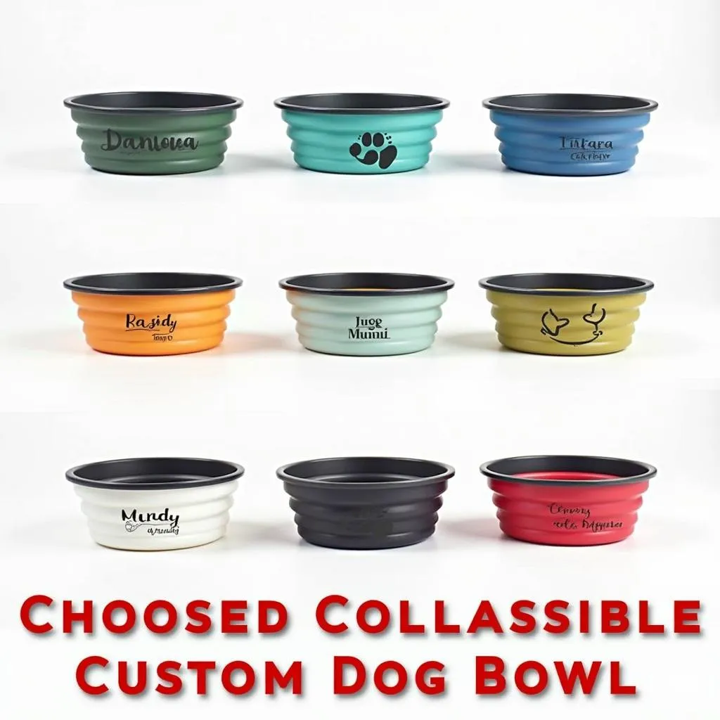 Collapsible dog bowls in various colors and designs