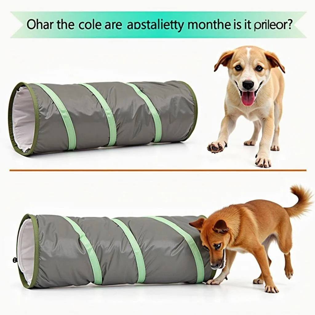 Dog Agility Tunnel Toy for Exercise and Fun