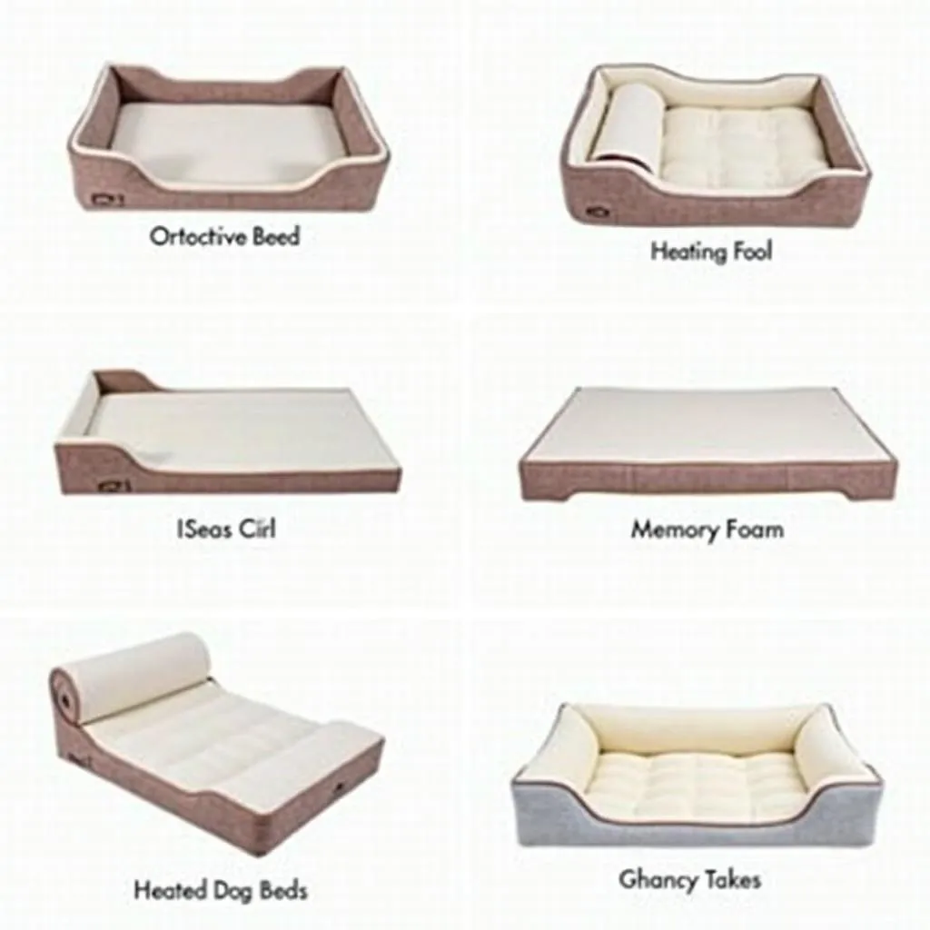 different-types-of-dog-beds