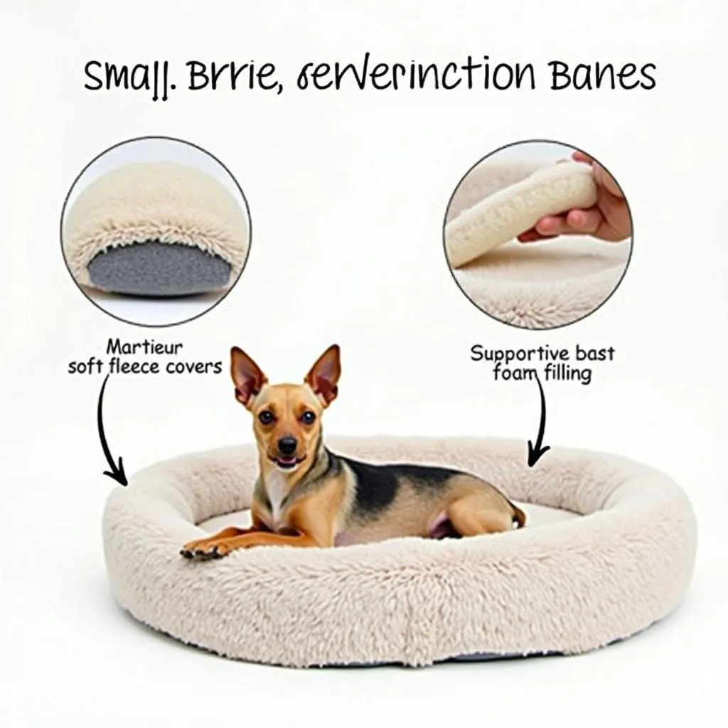 Dog Bed for Small Terrier in Australia