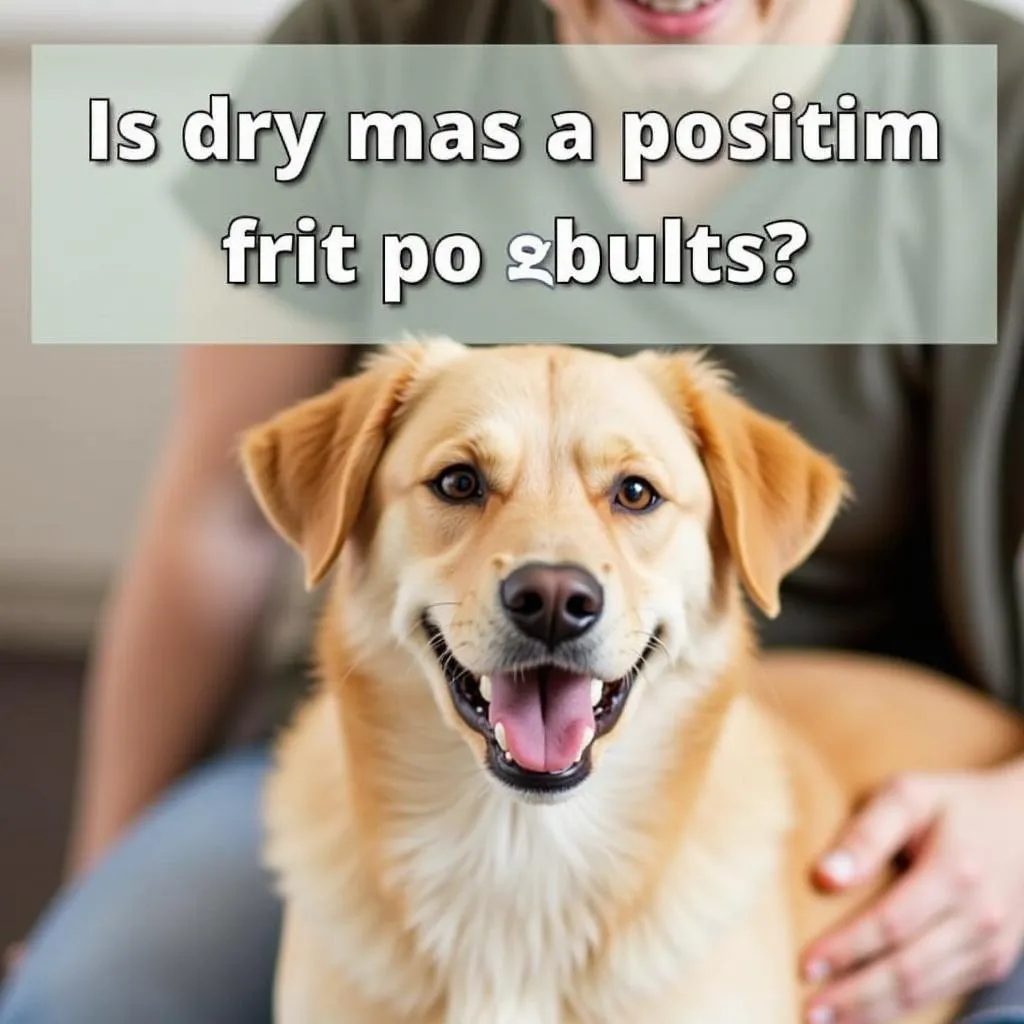 Dog behavior quiz results