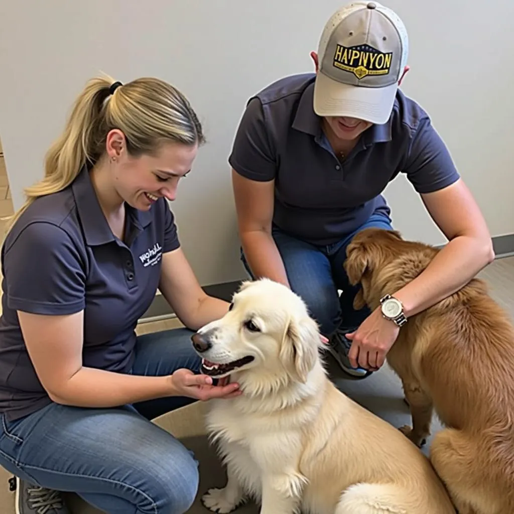 Friendly Dog Boarding Staff in Grand Junction, CO