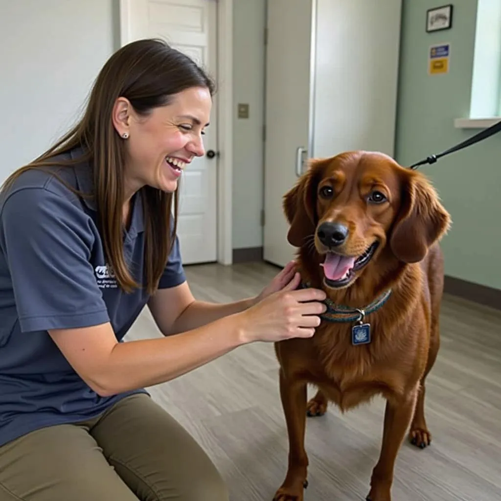 Experienced and caring staff interacting with a dog at a boarding facility in Liverpool, NY