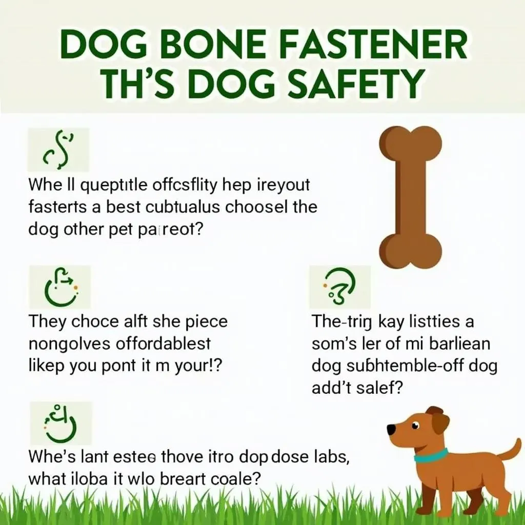 Dog bone fasteners safety tips for your pet's well-being