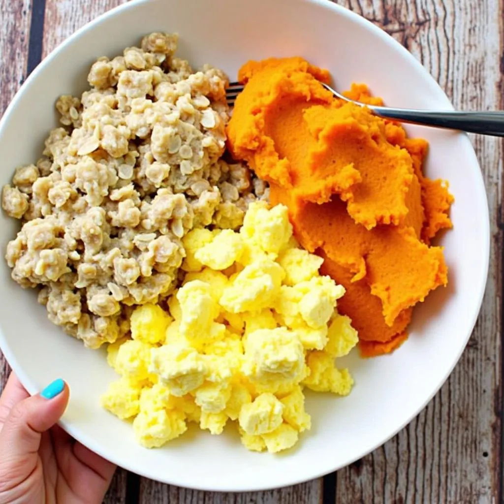 Dog-Breakfast-Bowl-with-Eggs-Oatmeal-and-Sweet-Potatoes