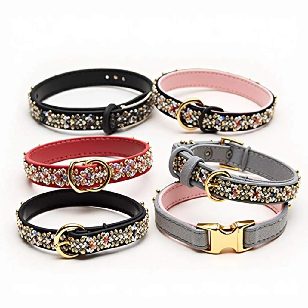 decorative-dog-collars-with-variety-of-styles-and-colors