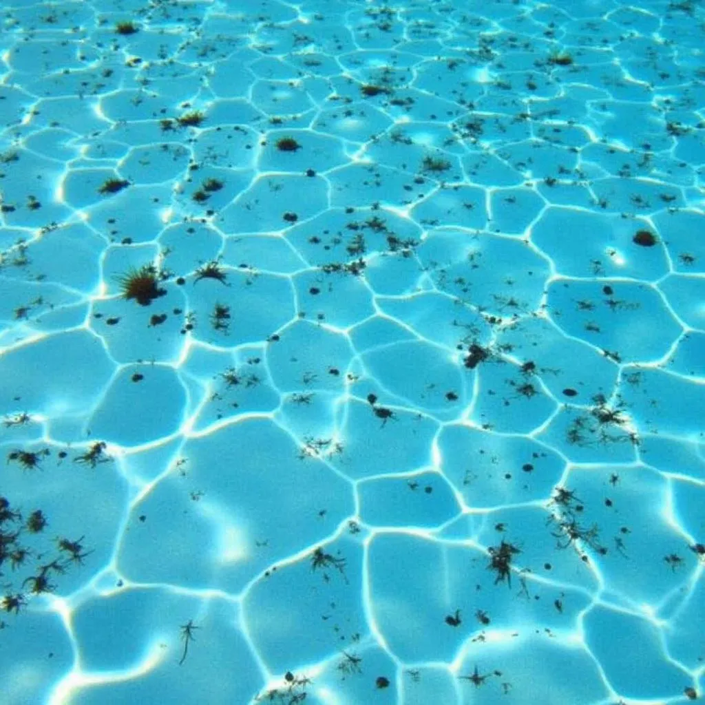 Dog hair in swimming pool: a visual representation of the problem