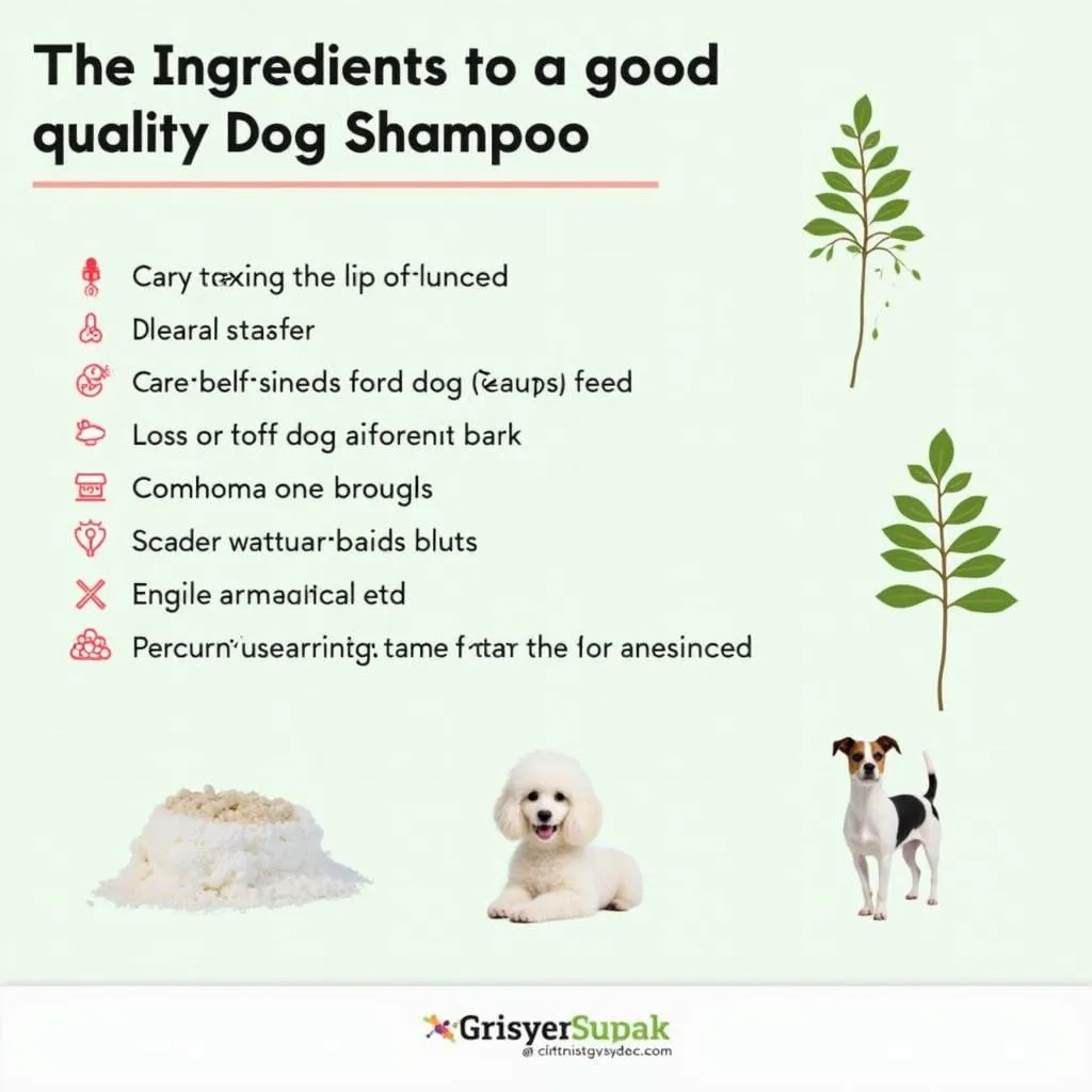 Best Dog Shampoo Ingredients Guide