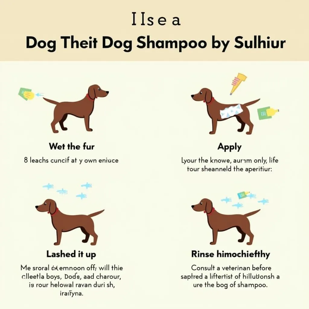 dog-sulfur-shampoo-application-guide