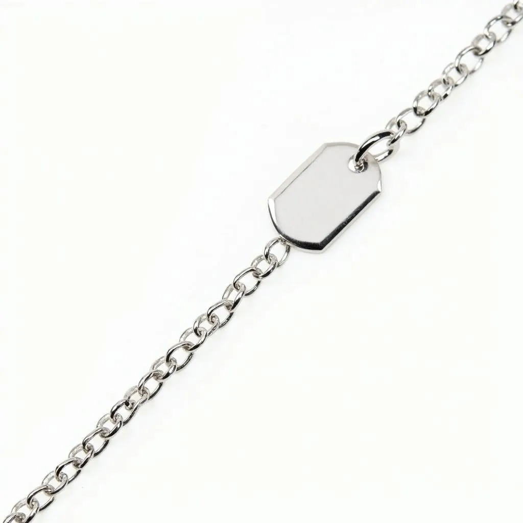 Silver Dog Tag Chain for Small Breeds