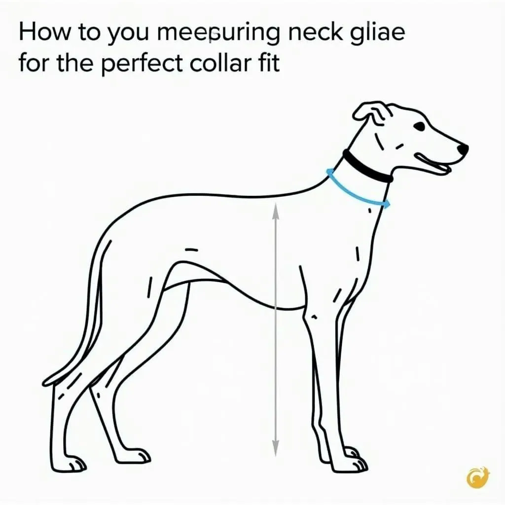 Greyhound Collar Size Guide