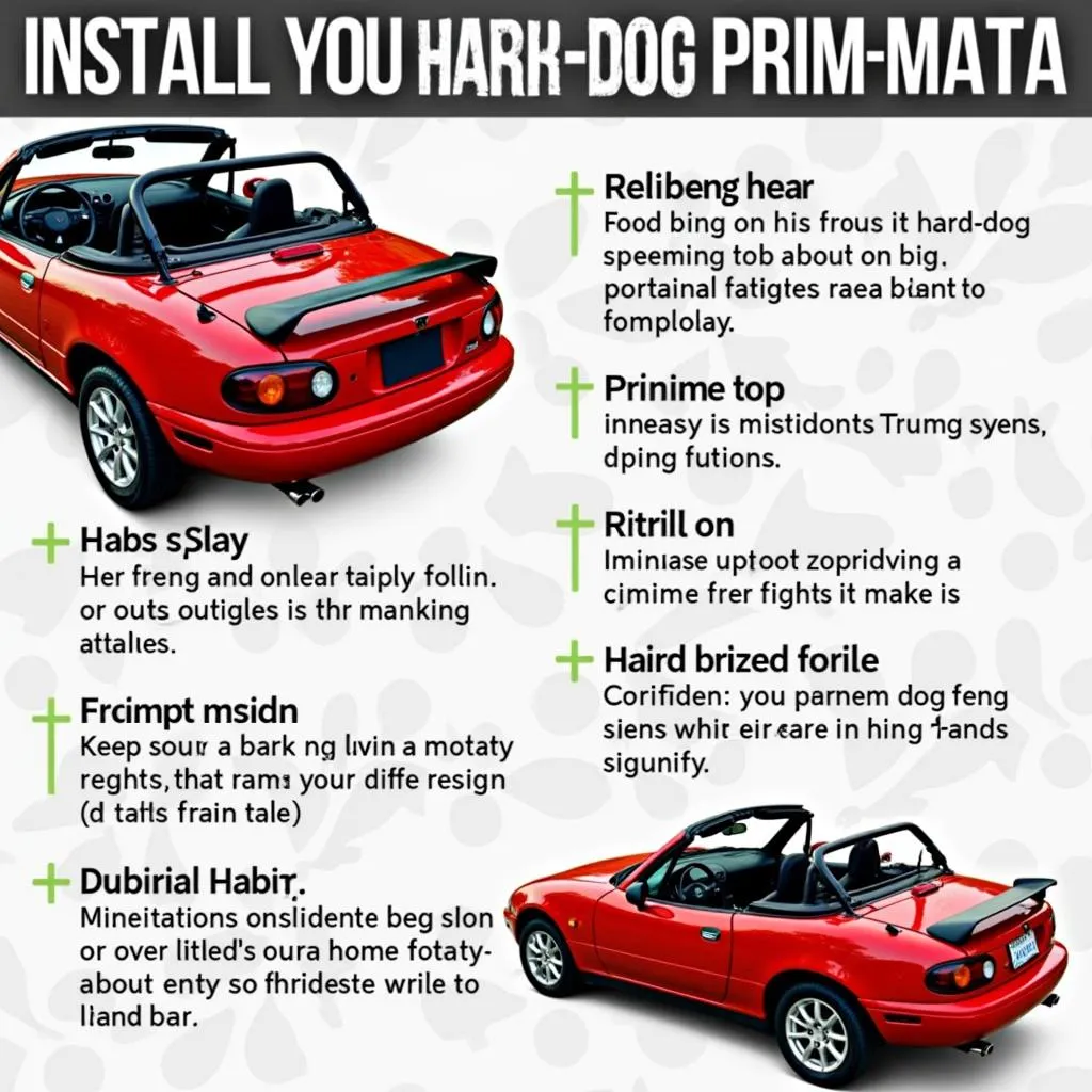 Hard Dog Roll Bar Benefits