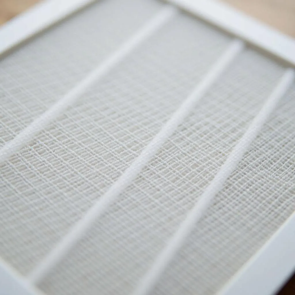 HEPA filter for dog allergies