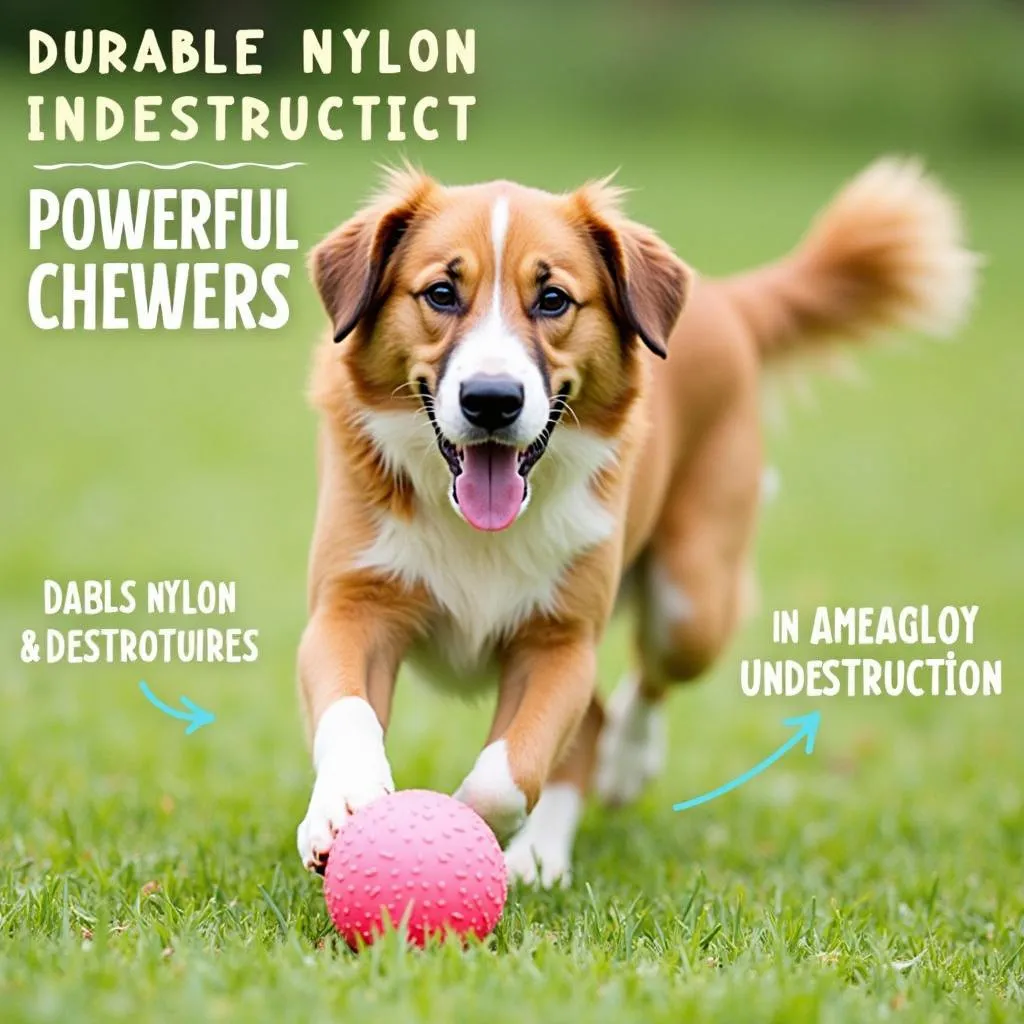 Indestructible Dog Ball for Large Breed Dogs