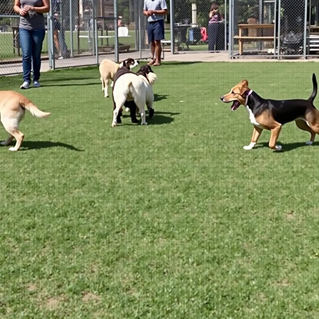 Dog kennel in Washington PA