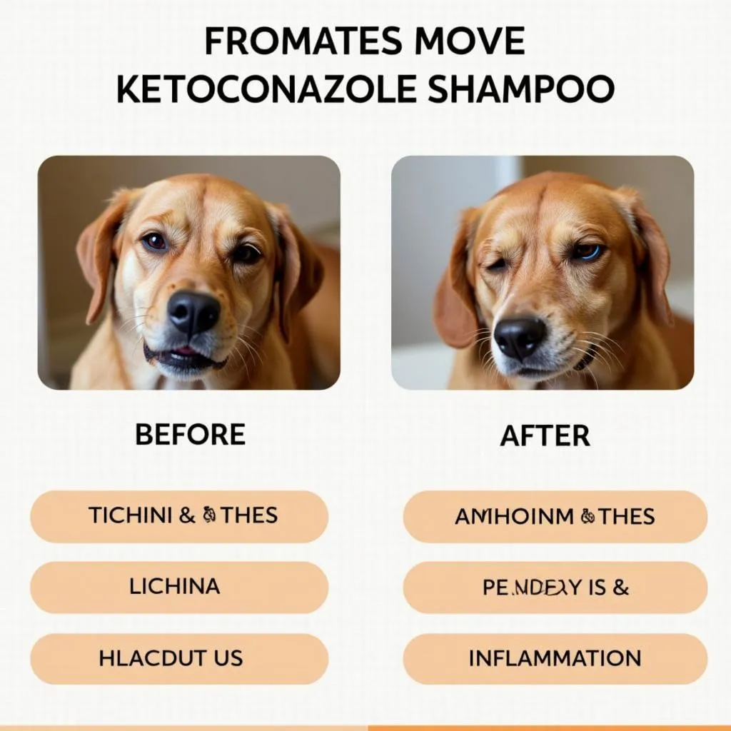 Dog shampoo for itchy skin relief