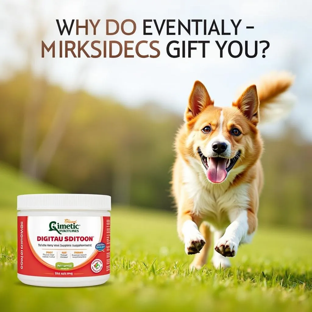 Kinetic dog supplements for enhanced energy and health