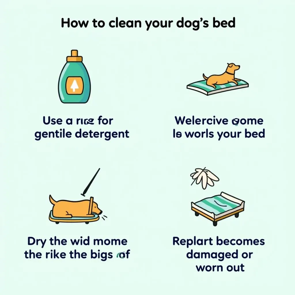 Tips for cleaning your dog's bed