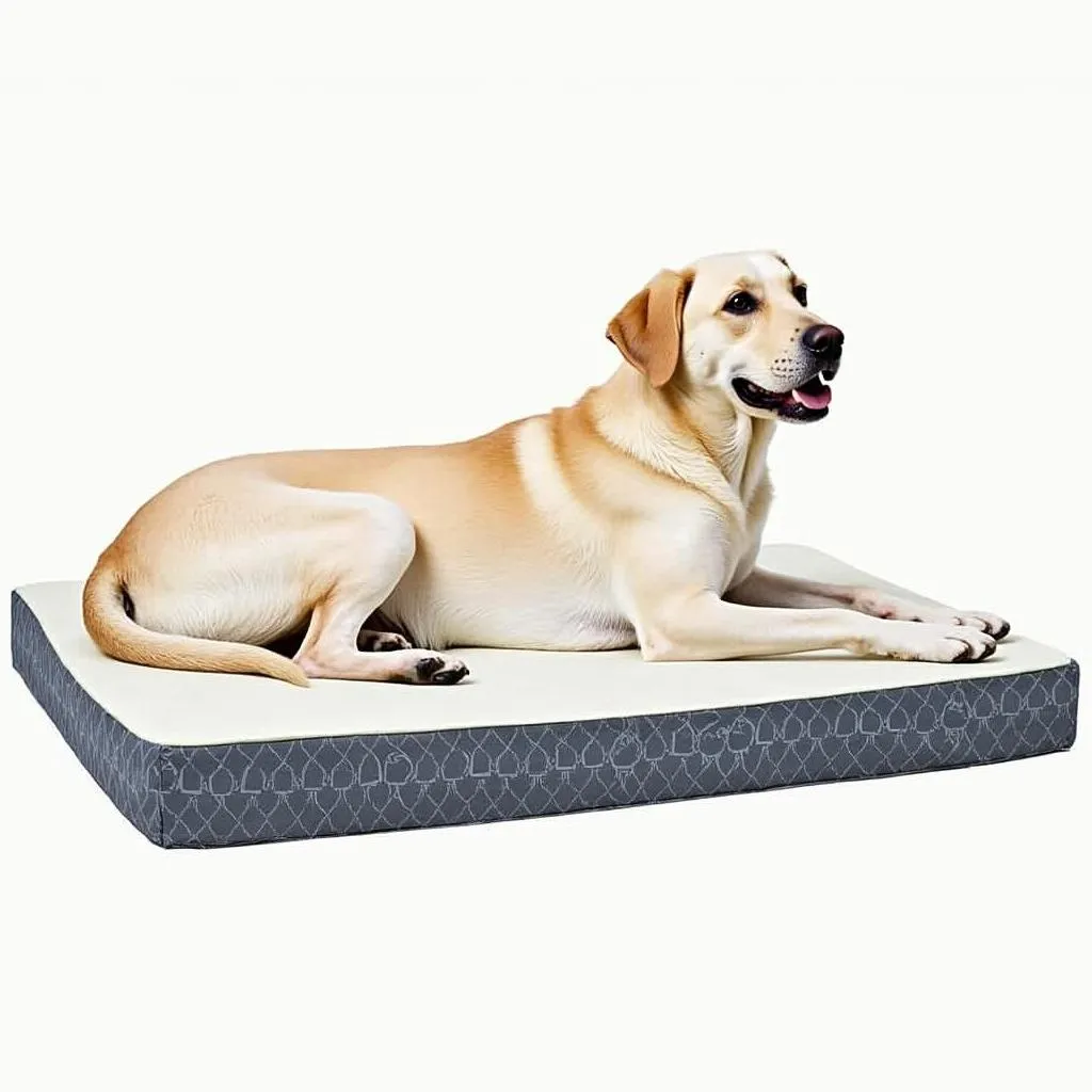 Large dog bed with orthopedic memory foam for added support, perfect for dogs with arthritis or hip joint issues.