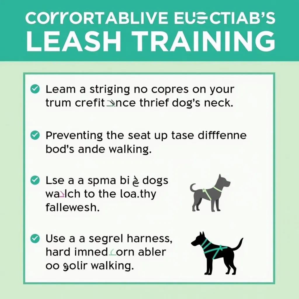 Harness for Loose Leash Walking: Reducing Strain and Promoting Comfort