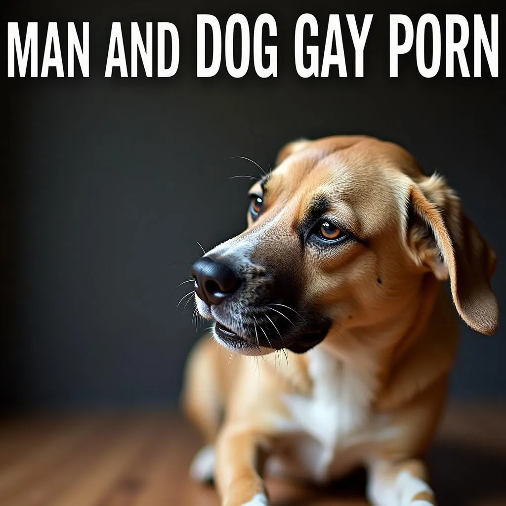 The dangers of "man and dog gay porn" - a harmful and illegal form of content