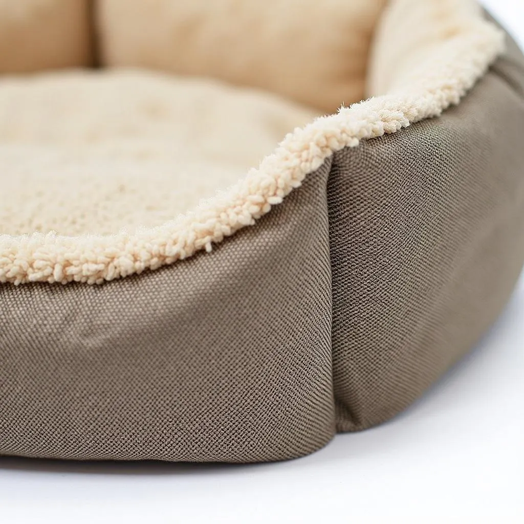 Durable Dog Beds for Mastiffs: Built to Withstand the Test of Time