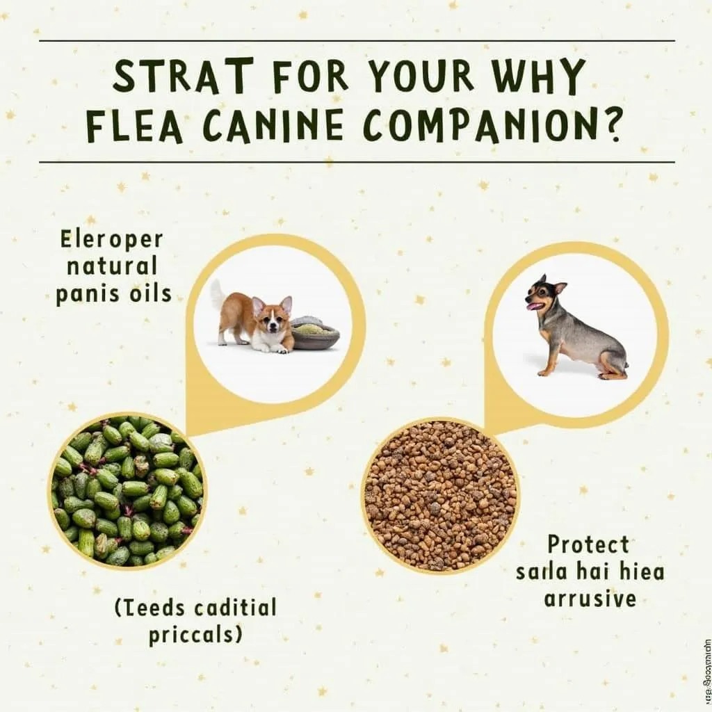 Safe and Natural Ingredients in Flea and Tick Collars