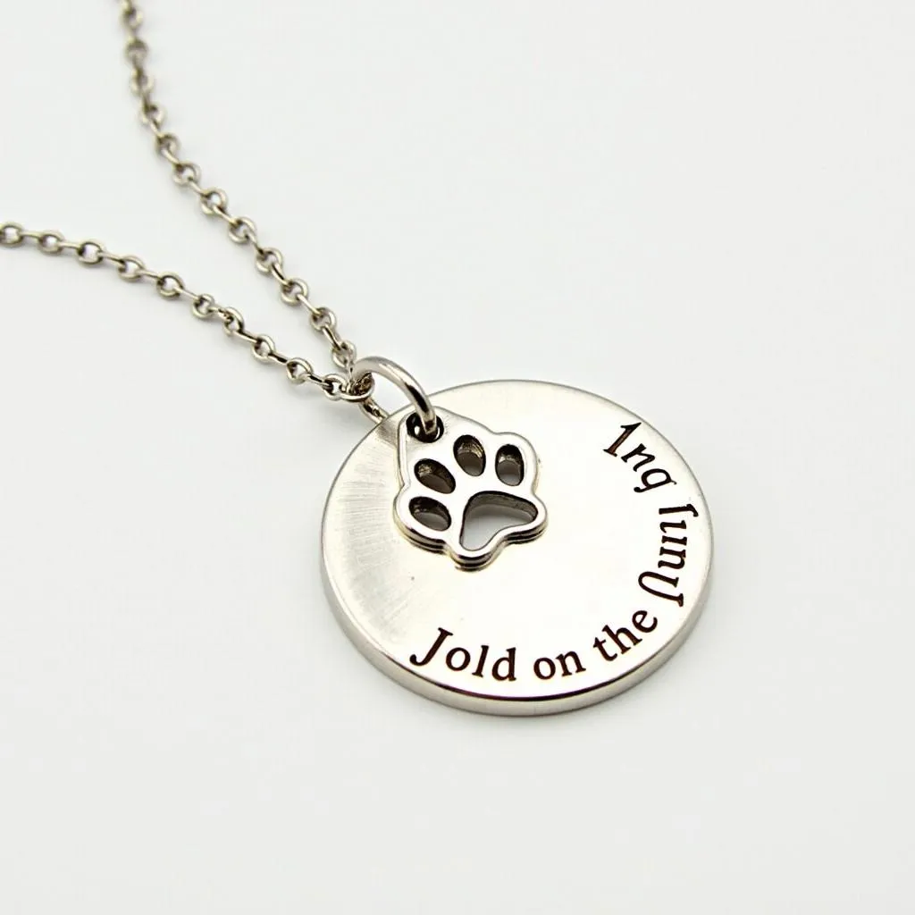 Necklace urn for dog ashes, a memorial jewelry for pet lovers